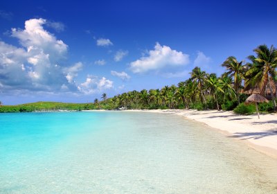 Traumstrand in Mexiko – weißer Sand, Palmen 