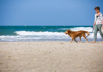 holland mit hund