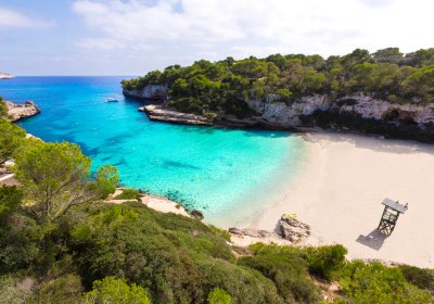 Ratgeber Teaser Mallorca