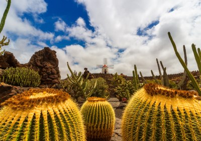 Lanzarote