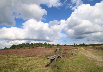 lüneburger heide