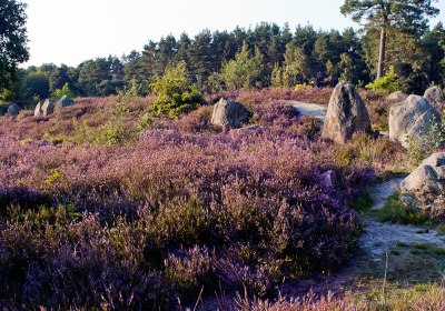 lüneburger heide