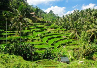 Bali