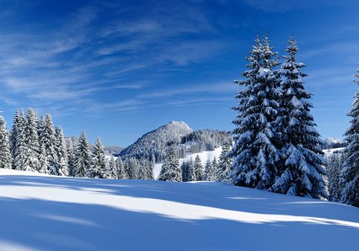 allgäu silvester