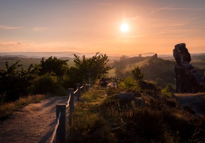 harz mit hund