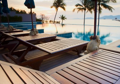 Gay Friendly Hotels