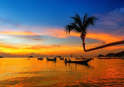 Koh Tao