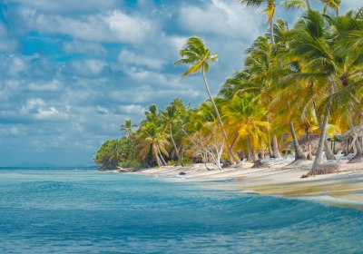 Santo Domingo Strand – Palmen 
