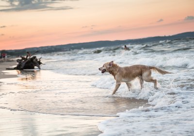 polnische ostsee