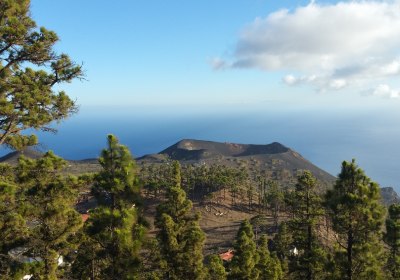 Volcán de Teneguía und Volcán San Antonio auf La Palma, Blick über Kiefernwald zum Atlantik