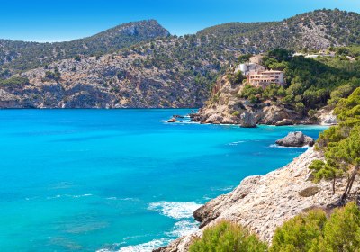 Calvia