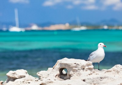 Formentera Familienhotels