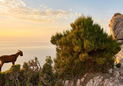 Balearen Wanderurlaub