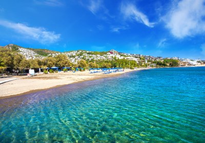Camel Beach