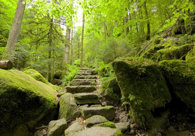 schwarzwald kurzurlaub