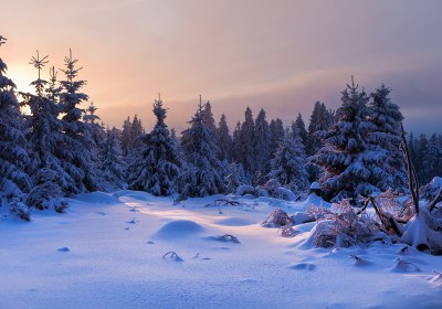 harz weihnachten