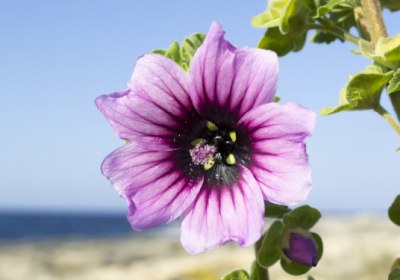 Menorca Pfingsten