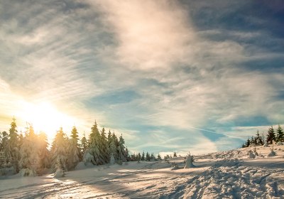 harz silvester