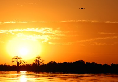 senegal