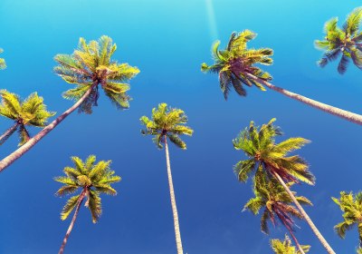 Puerto Plata Frühling