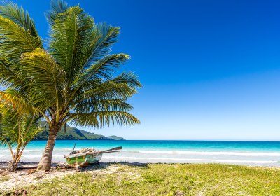 Puerto Plata Singlereise