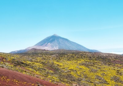 Teneriffa Kurzurlaub