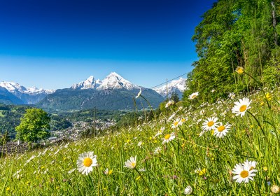 bayerischer wald kurztrip