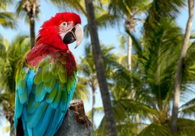 Punta Cana Frühling