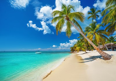 Punta Cana Strand – Palmen, Meer 
