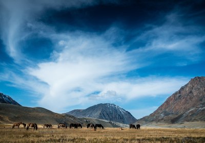 Mongolei