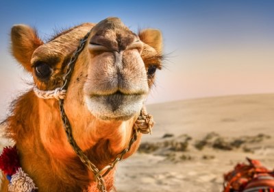 Ägypten Ostern