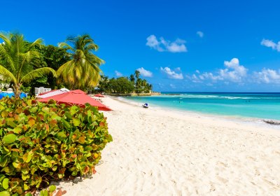 Traumstrand in der Karibik – Weißer Sand, türkisblaues Meer und PalmenidylleTraumstrand in der Karibik – Weißer Sand, türkisblaues Meer und Palmenidylle