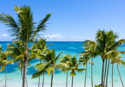 Puerto Plata – Palmenstrand an der Nordküste der Dominikanischen Republik