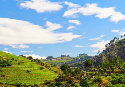Portugal Sommerurlaub