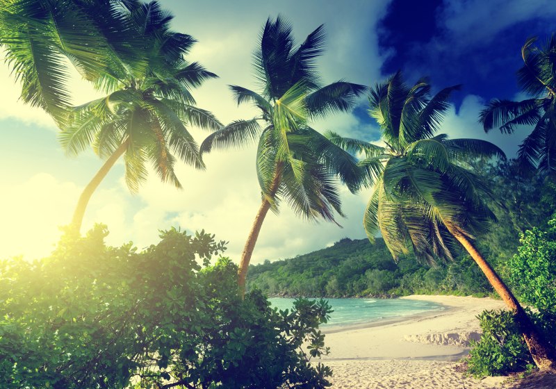 URLAUB BUCHEN 2026 G NSTIG REISEN MIT ALLTOURS visual data 4