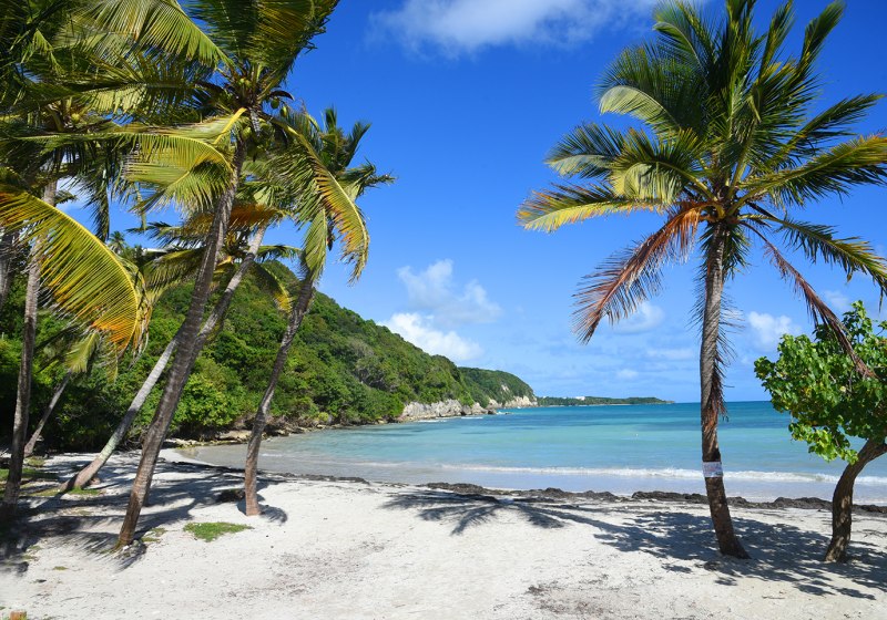URLAUB BUCHEN 2026 G NSTIG REISEN MIT ALLTOURS visual data 3