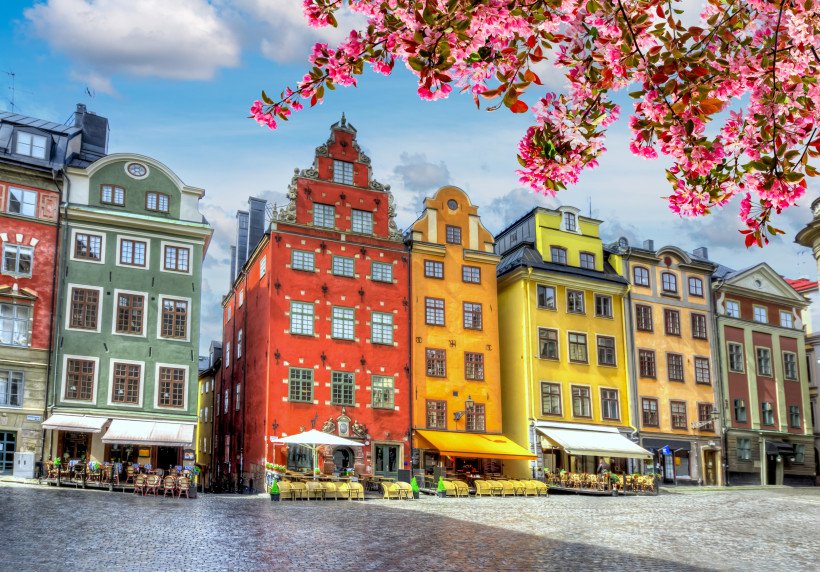 Bunte Fassaden historischer Häuser am Stortorget in Stockholm-Gamla Stan, im Vordergrund Kopfsteinpflaster und Außengastronomie, oben blühende Zweige