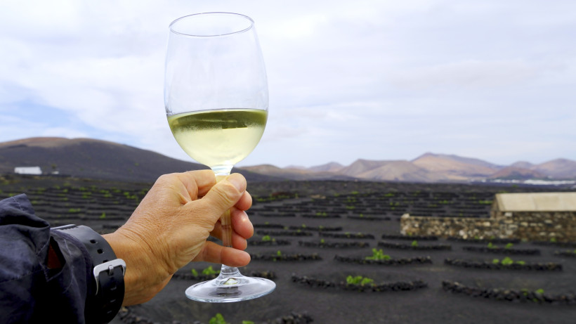 Weinprobe in der Vulkanlandschaft der Bodega-Region La Geria Weißweinglas in der Weinregion La Geria auf Lanzarote mit Blick auf die vulkanischen Weinfelder und schwarze Lavaerde.