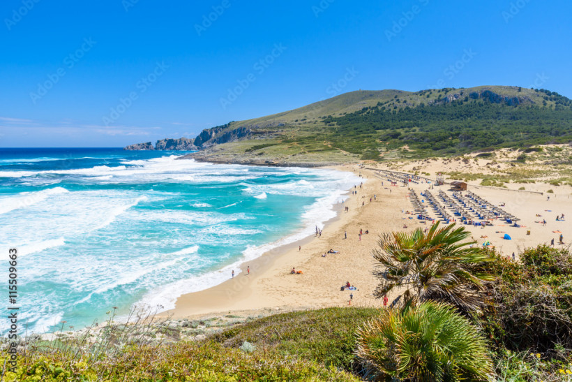 Cala Mesquida, Mallorca Weitläufiger Sandstrand Cala Mesquida auf Mallorca mit hohen Wellen, Liegen und Sonnenschirmen sowie grünen Hügeln im Hintergrund