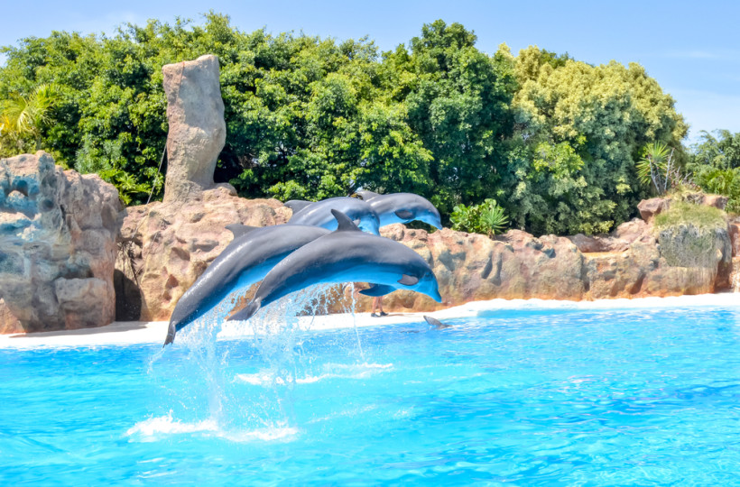 Loro Parque