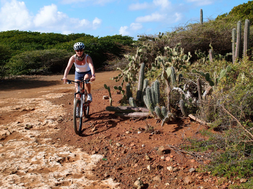 Curaçao Eine Frau fährt mit dem Mountainbike über einen staubigen, rotbraunen Naturpfad auf Curaçao. Rechts wachsen zahlreiche Kakteen und trockene Sträucher, im Hintergrund dichteres grünes Buschwerk. Die Sonne scheint, der Himmel ist blau mit wenigen Wolken.