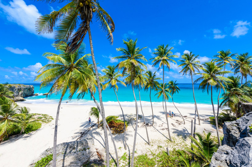 Palmen am weißen Sandstrand mit türkisfarbenem Meer unter blauem Himmel, Barbados