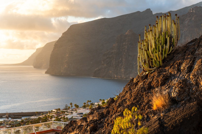 Majestätische Klippen von Los Gigantes im Abendlicht Dramatische Felsklippen von Los Gigantes auf Teneriffa im warmen Abendlicht. Ein großer Kaktus steht im Vordergrund auf vulkanischem Gestein, unten am Wasser ein kleiner Ort, dahinter das ruhige Meer und die mächtigen schwarzen Klippen in der Ferne.