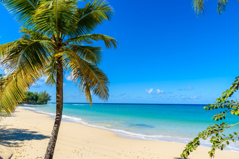 Barbados Tropischer Sandstrand auf Barbados mit einer schräg stehenden Palme im Vordergrund. Der feine Sand und das ruhige türkisfarbene Meer erstrecken sich bis zum Horizont. Der Himmel ist strahlend blau mit wenigen kleinen Wolken.