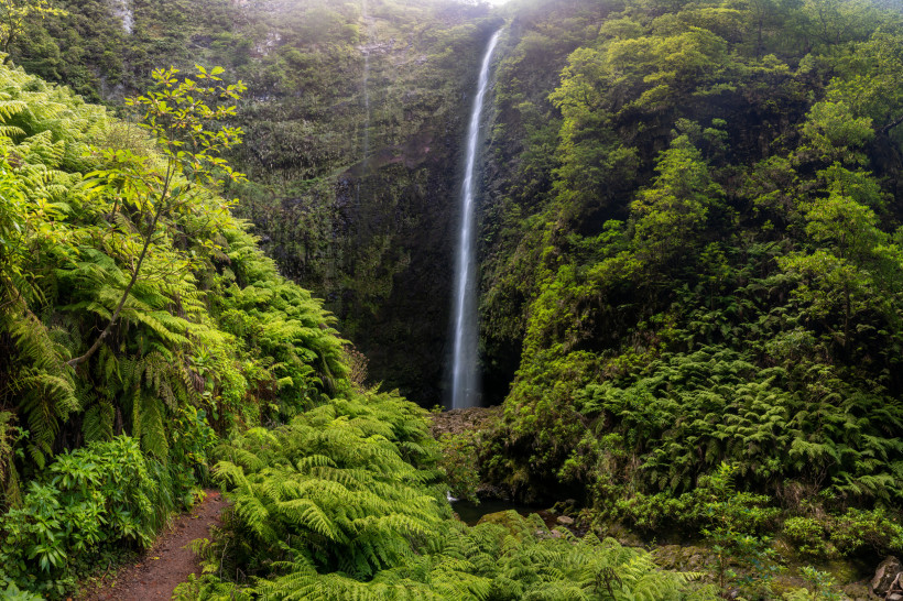 Wasserfall Caldeirão Verde im Lorbeerwald von Madeira umgeben von dichter Vegetation und Farnen