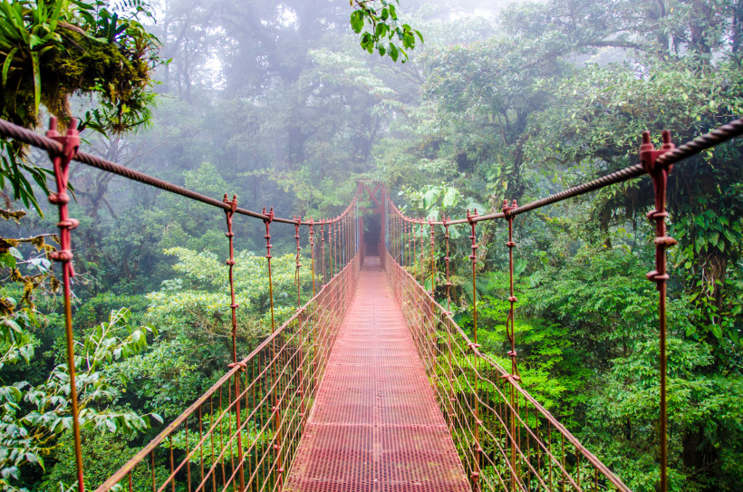 Abenteuer im Nebelwald von Monteverde – Hängebrücke in Costa Rica Hängebrücke im Nebelwald von Monteverde in Costa Rica – Abenteuer im Regenwald zwischen Nebel und grüner Vegetation