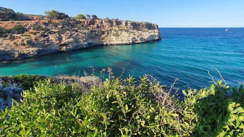 Felsige Steilküste bei Calas de Mallorca mit kleiner Naturbucht und klarem, türkisfarbenem Wasser an der Ostküste Mallorcas.