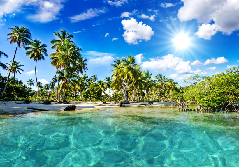 Dominikanische Republik Karibischer Sandstrand mit Palmen und türkisfarbenem Wasser unter strahlend blauem Himmel in der Dominikanischen Republik.
