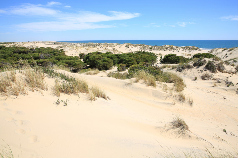 Coto de Donana National Park in Andalusia