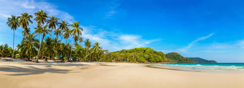 Strandferien, Mexiko Weitläufiger Sandstrand mit hohen Palmen, klarem blauen Himmel und grün bewachsenen Hügeln im Hintergrund, während sanfte Wellen das Ufer erreichen